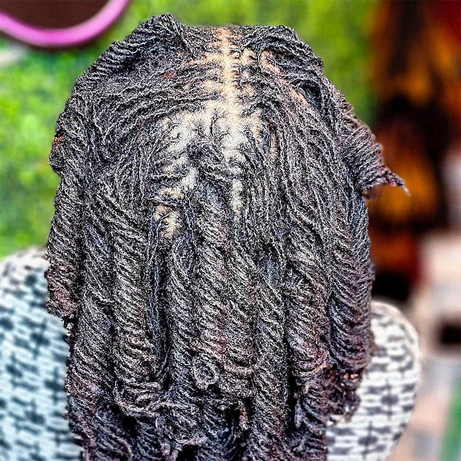 Locs 2