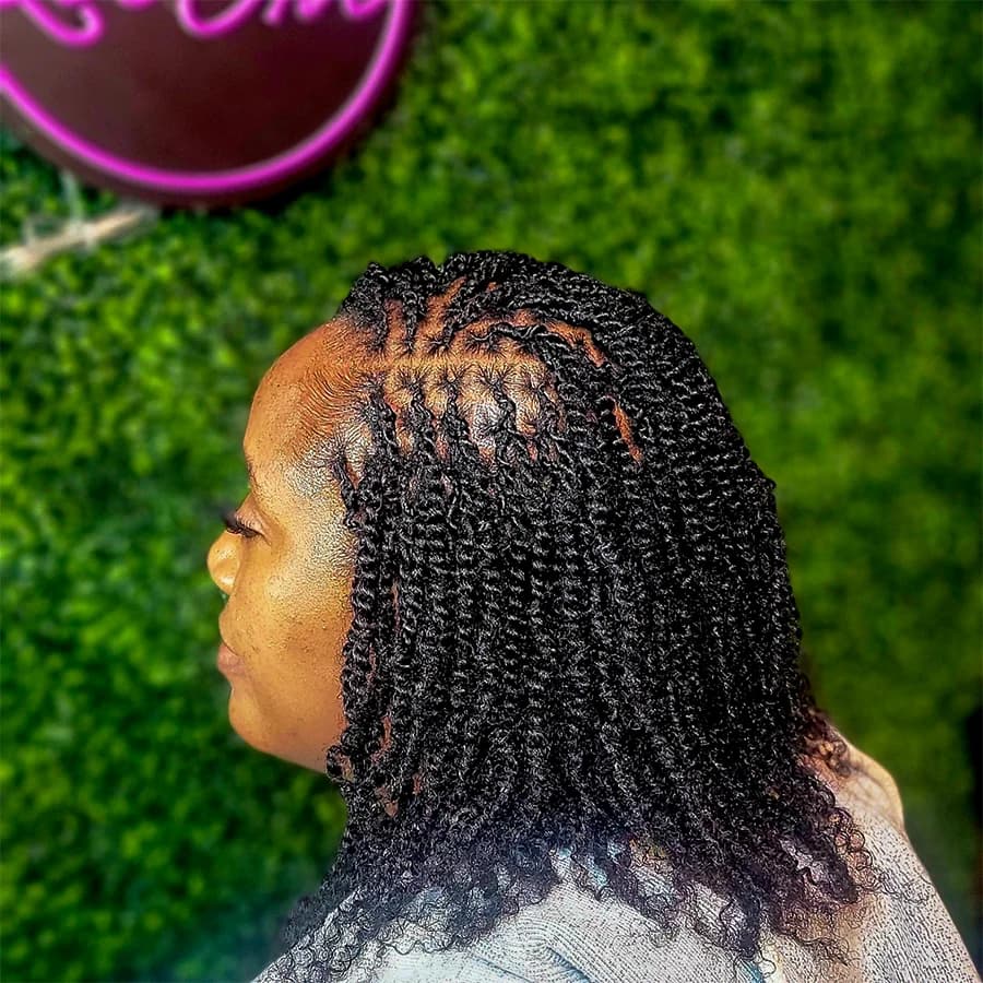Mini Twist 1